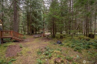 56514 383rd Avenue Ct E, Ashford, WA 98304 - Photo 26