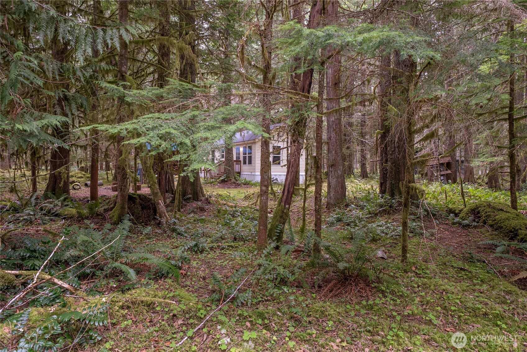 56514 383rd Avenue Ct E, Ashford, WA 98304