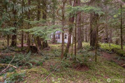 56514 383rd Avenue Ct E, Ashford, WA 98304 - Photo 28