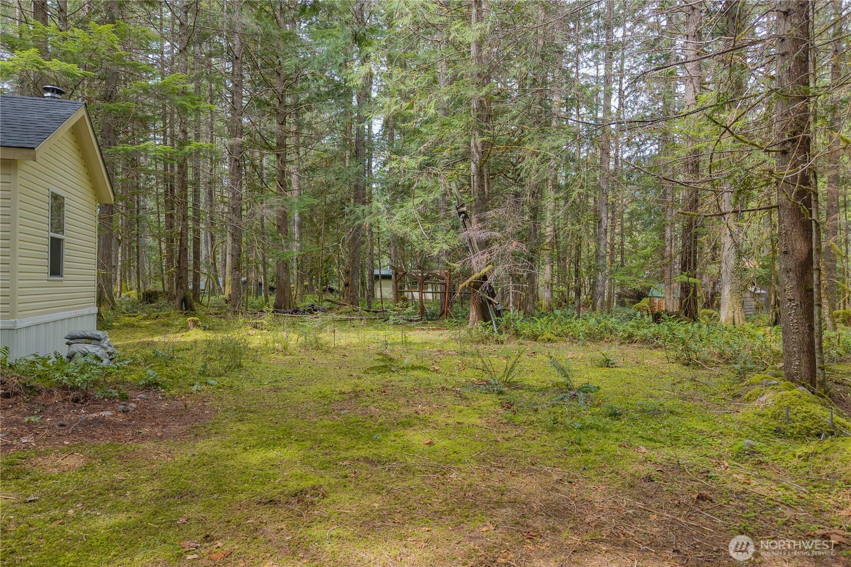 56514 383rd Avenue Ct E, Ashford, WA 98304