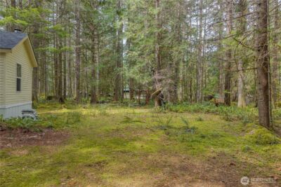 56514 383rd Avenue Ct E, Ashford, WA 98304 - Photo 6