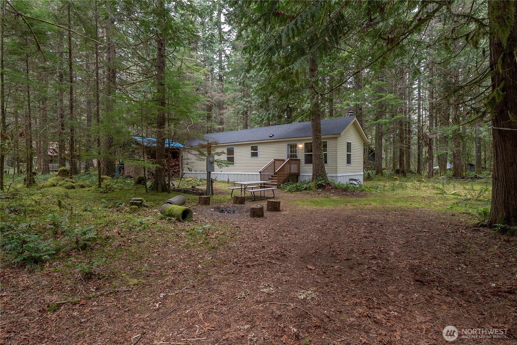 56514 383rd Avenue Ct E, Ashford, WA 98304