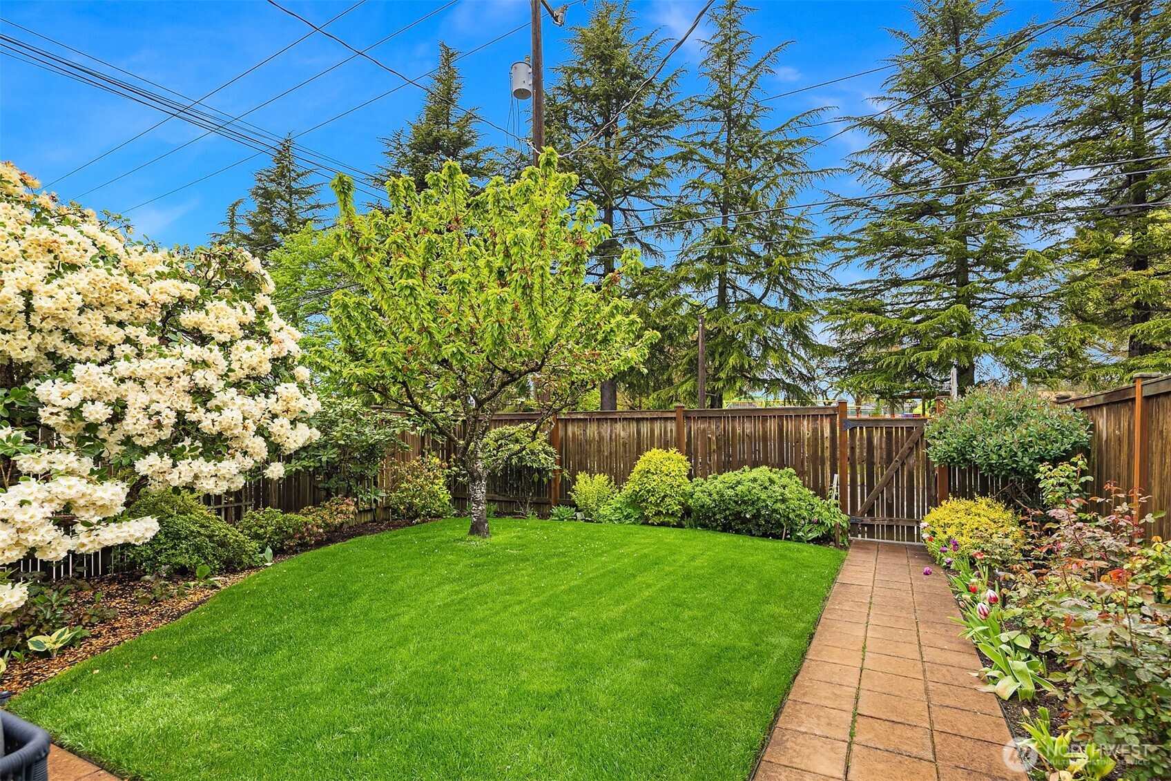 6857 44th Avenue NE, Seattle, WA 98115