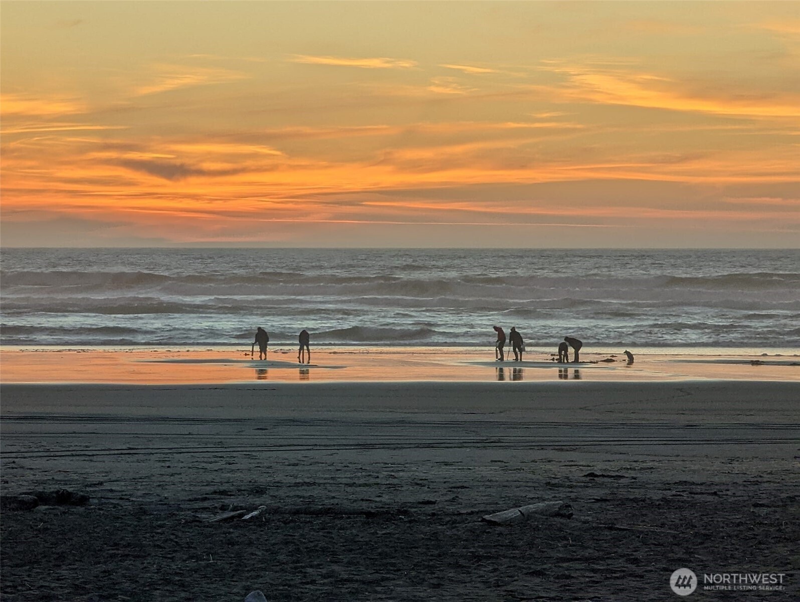 199 S Narwhal Loop SW, Ocean Shores, WA 98569