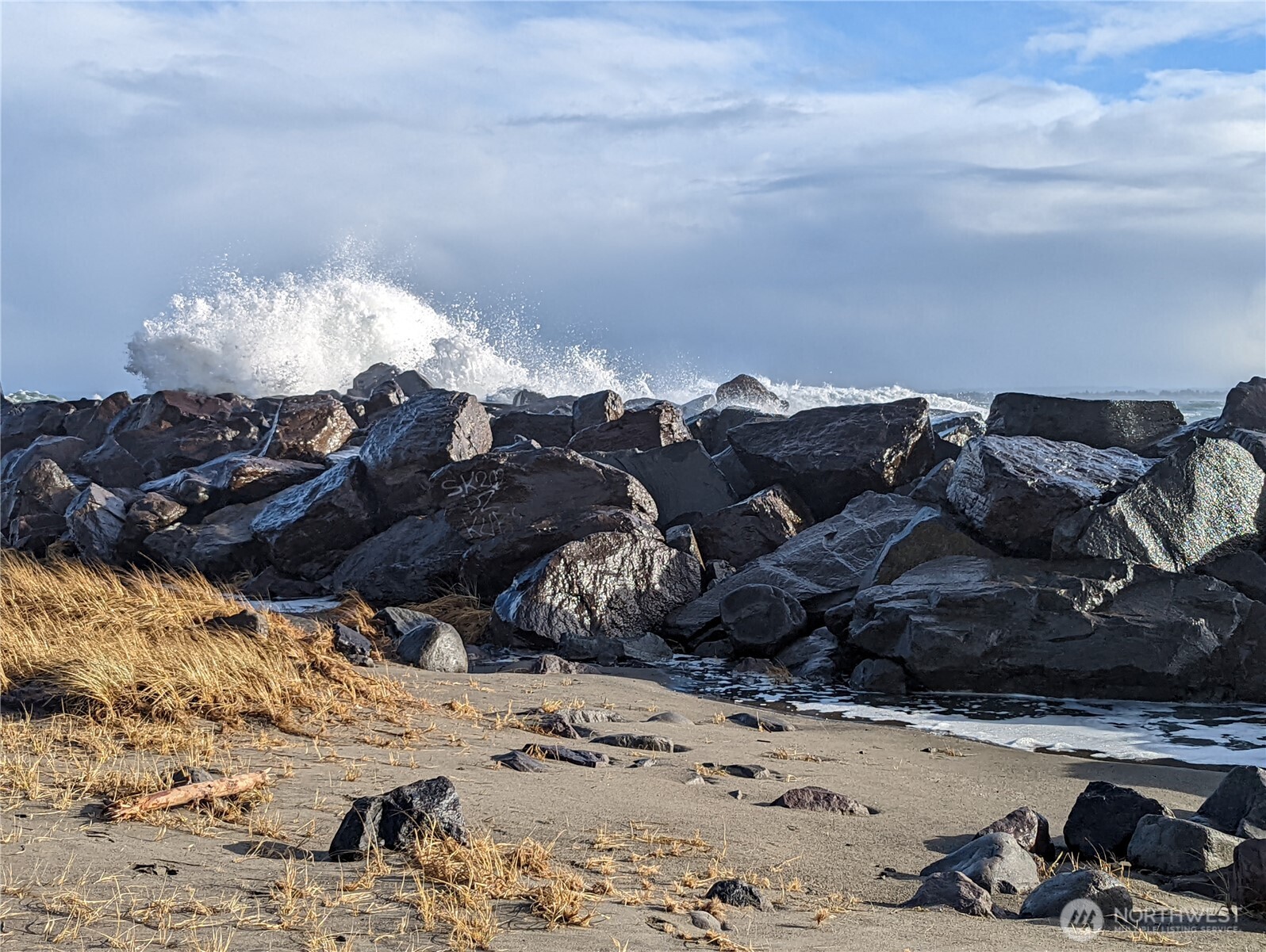 199 S Narwhal Loop SW, Ocean Shores, WA 98569