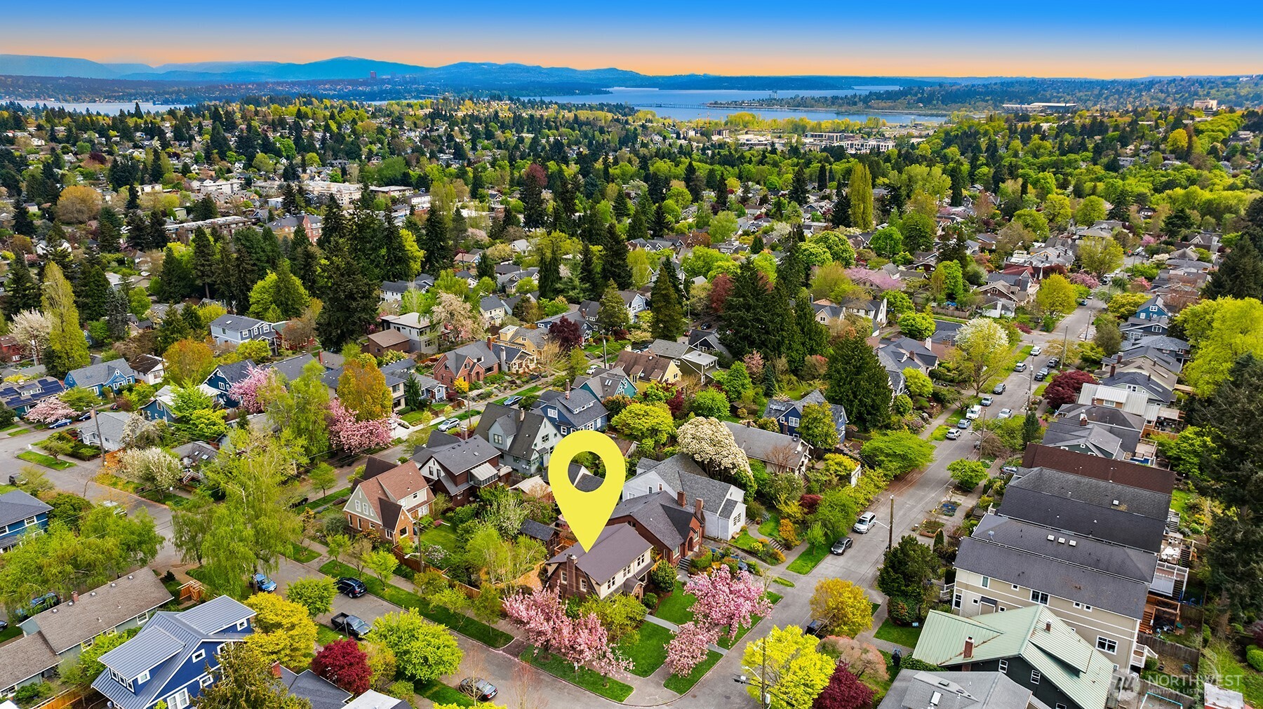 6856 17th Avenue NE, Seattle, WA 98115-6845