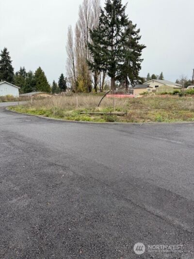 14621 46th Avenue S, Tukwila, WA 98168 - Photo 3