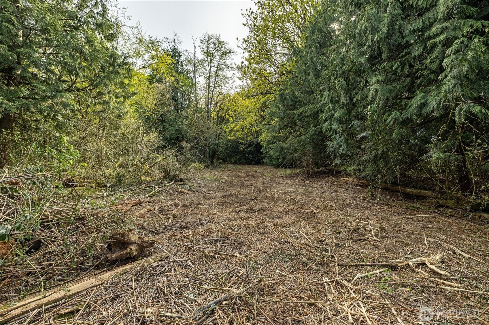 5517 East Road , Bellingham, WA 98226