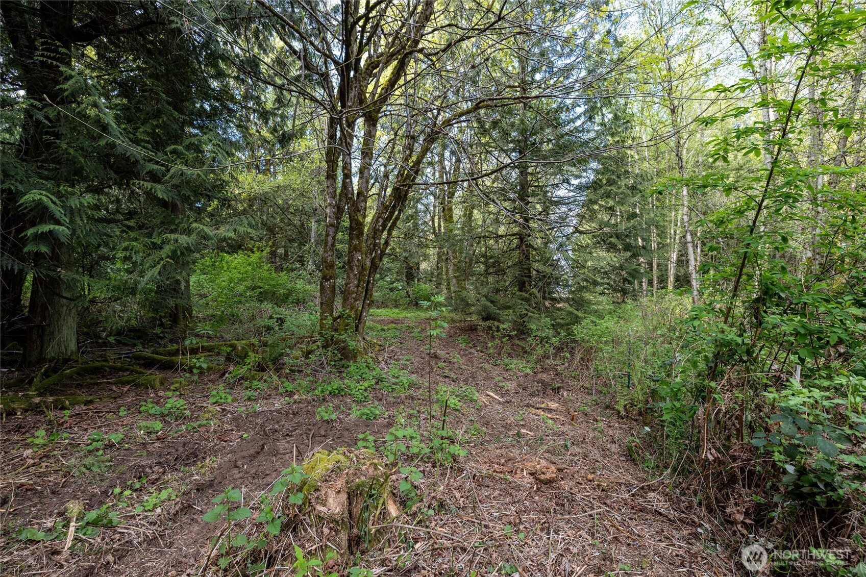 5517 East Road , Bellingham, WA 98226
