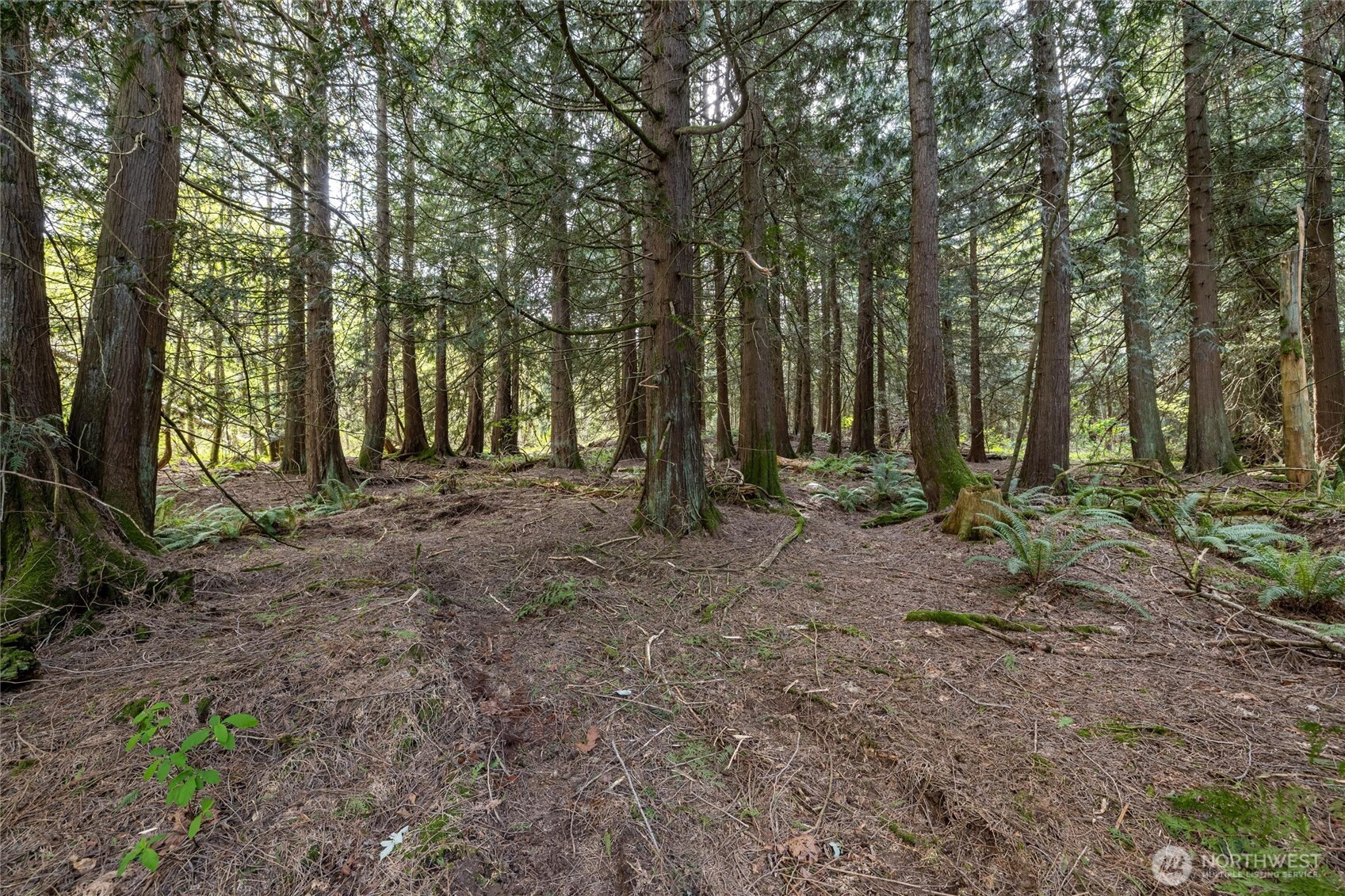 5517 East Road , Bellingham, WA 98226