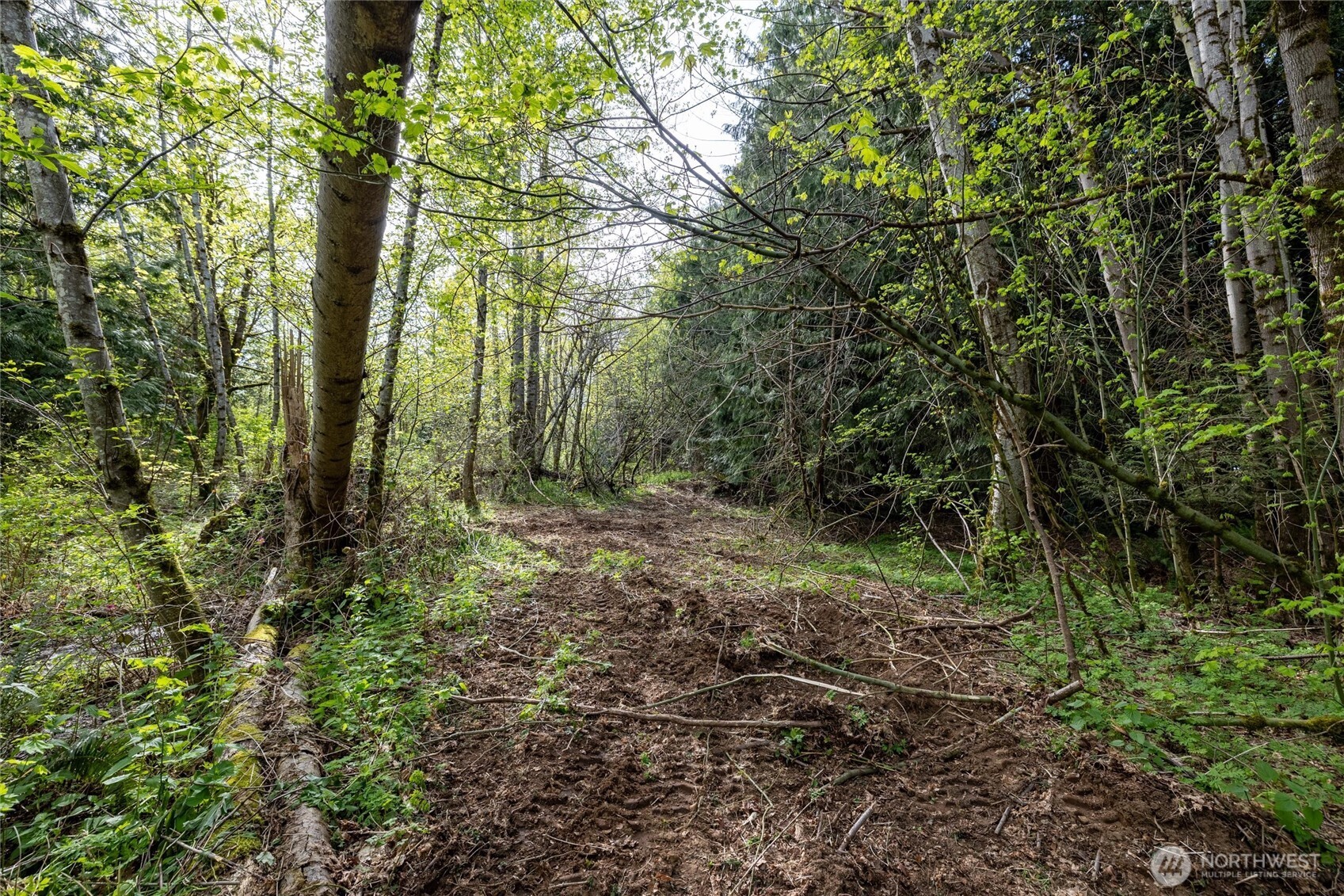 5517 East Road , Bellingham, WA 98226