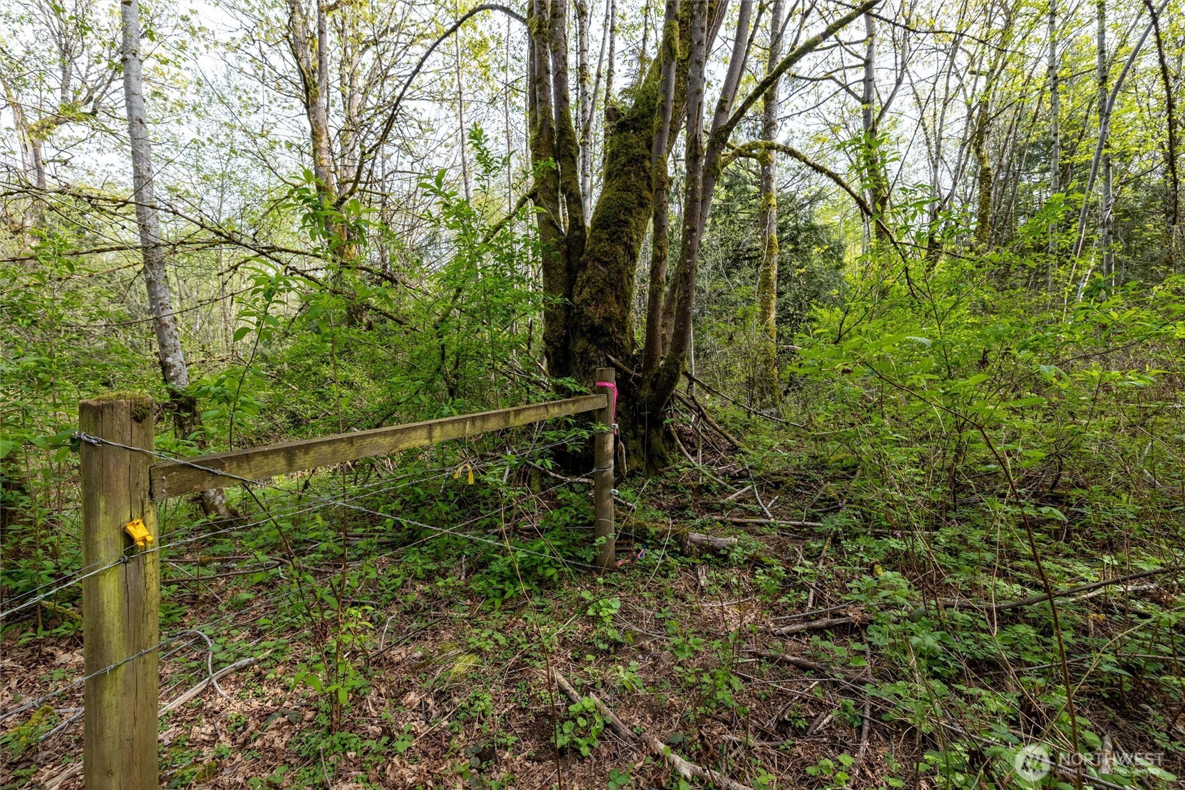5517 East Road , Bellingham, WA 98226