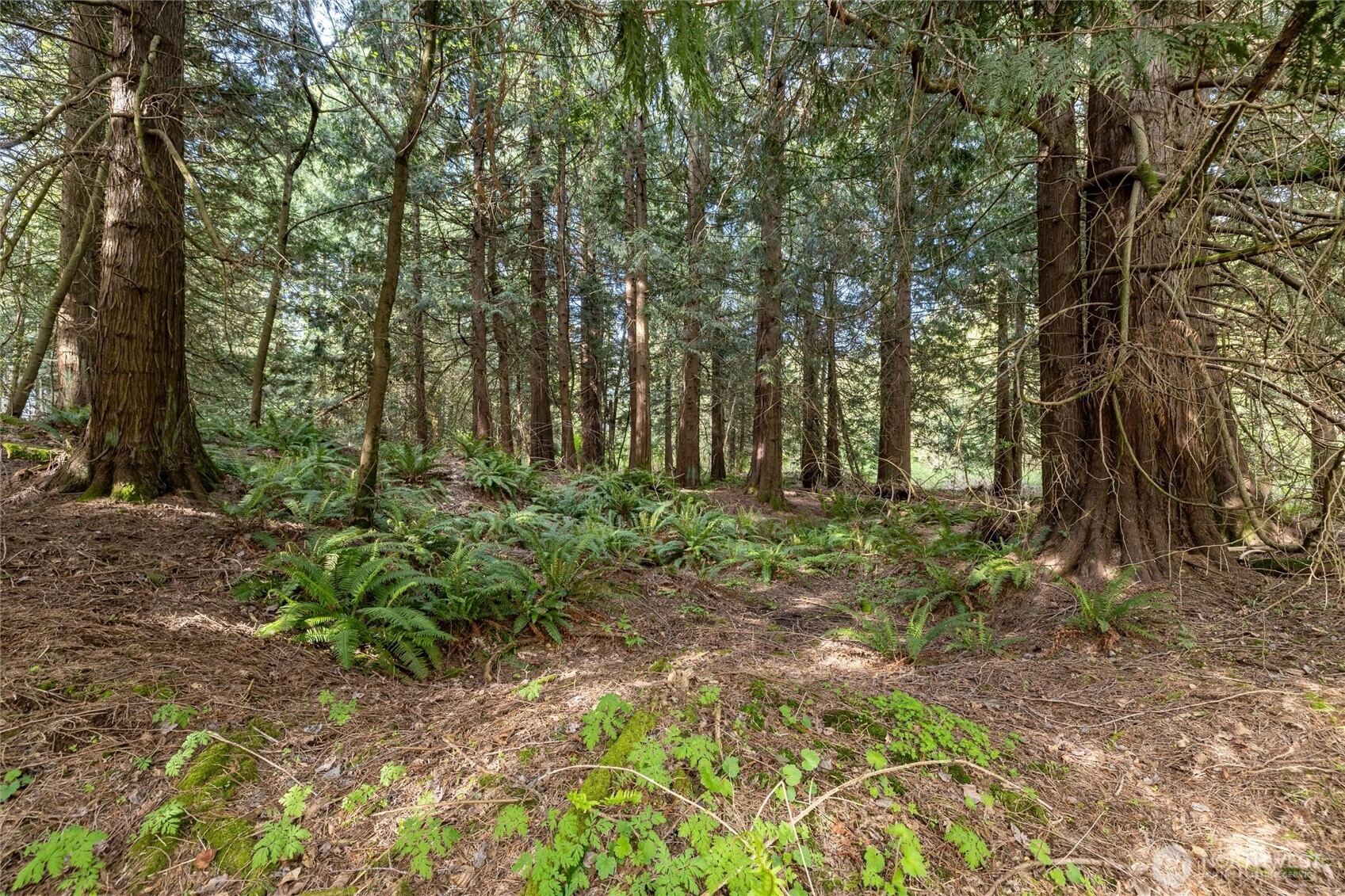 5517 East Road , Bellingham, WA 98226