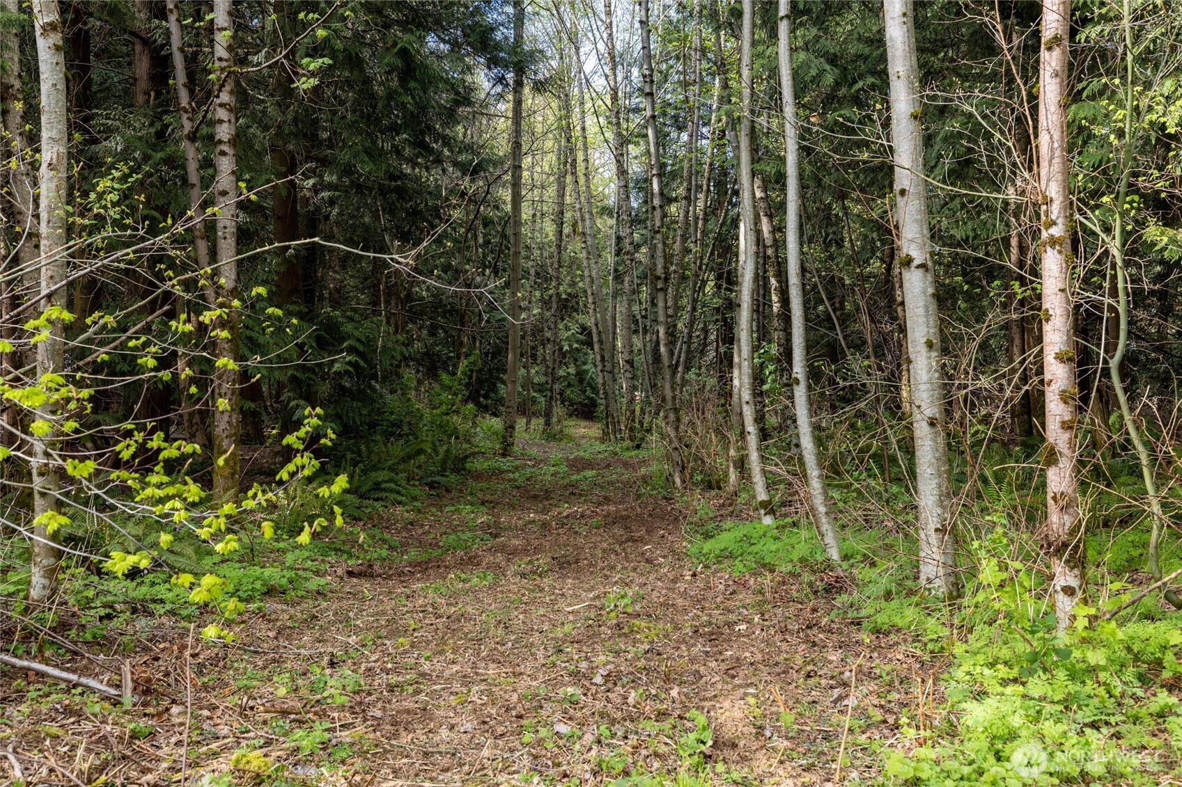 5517 East Road , Bellingham, WA 98226