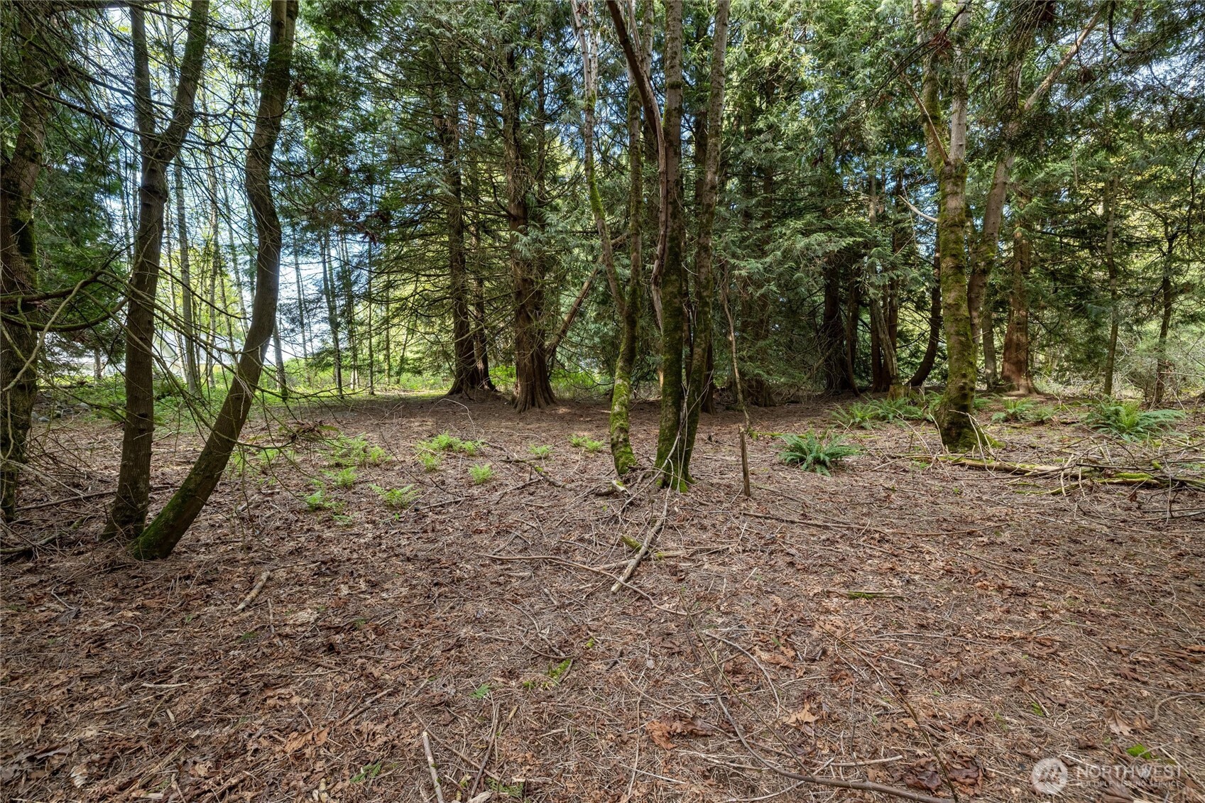 5517 East Road , Bellingham, WA 98226