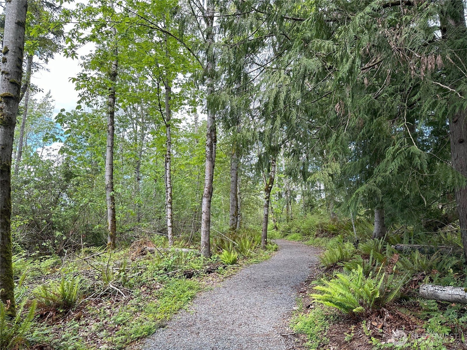 15127 182nd Avenue E, Bonney Lake, WA 98391