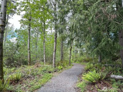 15127 182nd Avenue E, Bonney Lake, WA 98391 - Photo 37