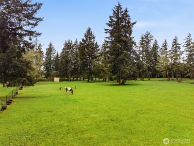 1717 183rd Street Ct E, Spanaway, WA 98387 - Photo 14