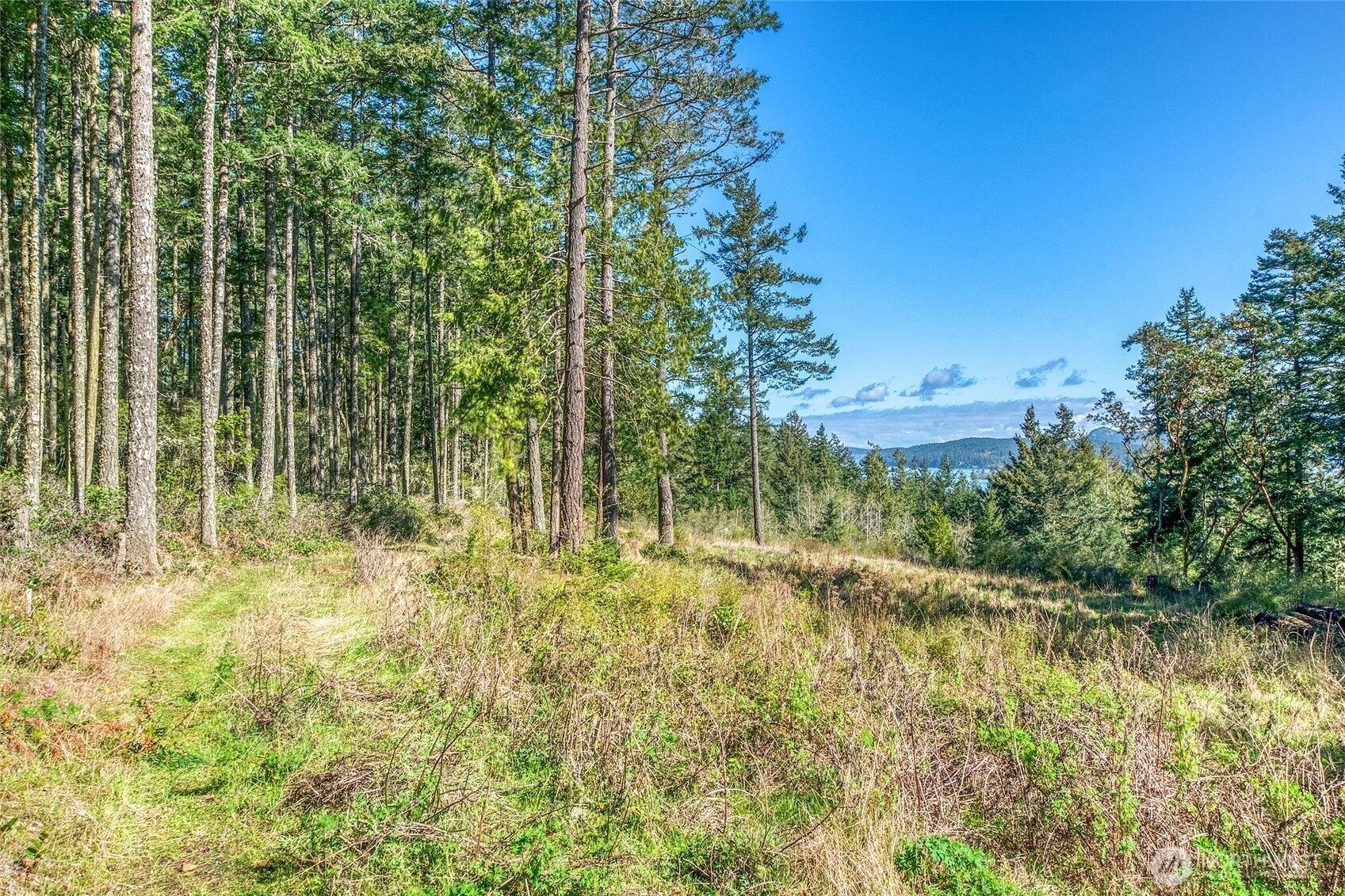 27 Bramblewood Lane , Friday Harbor, WA 98250