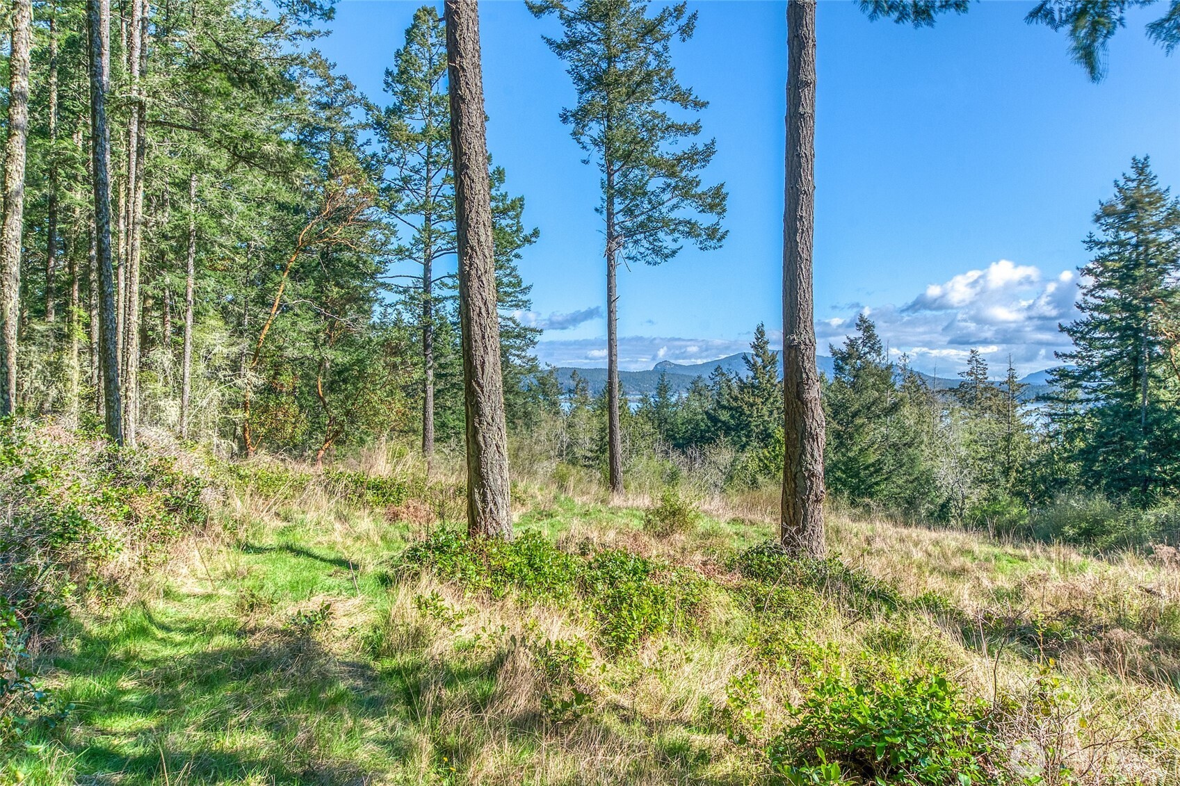 27 Bramblewood Lane , Friday Harbor, WA 98250