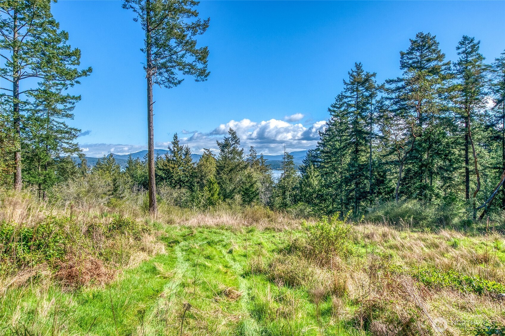 27 Bramblewood Lane , Friday Harbor, WA 98250
