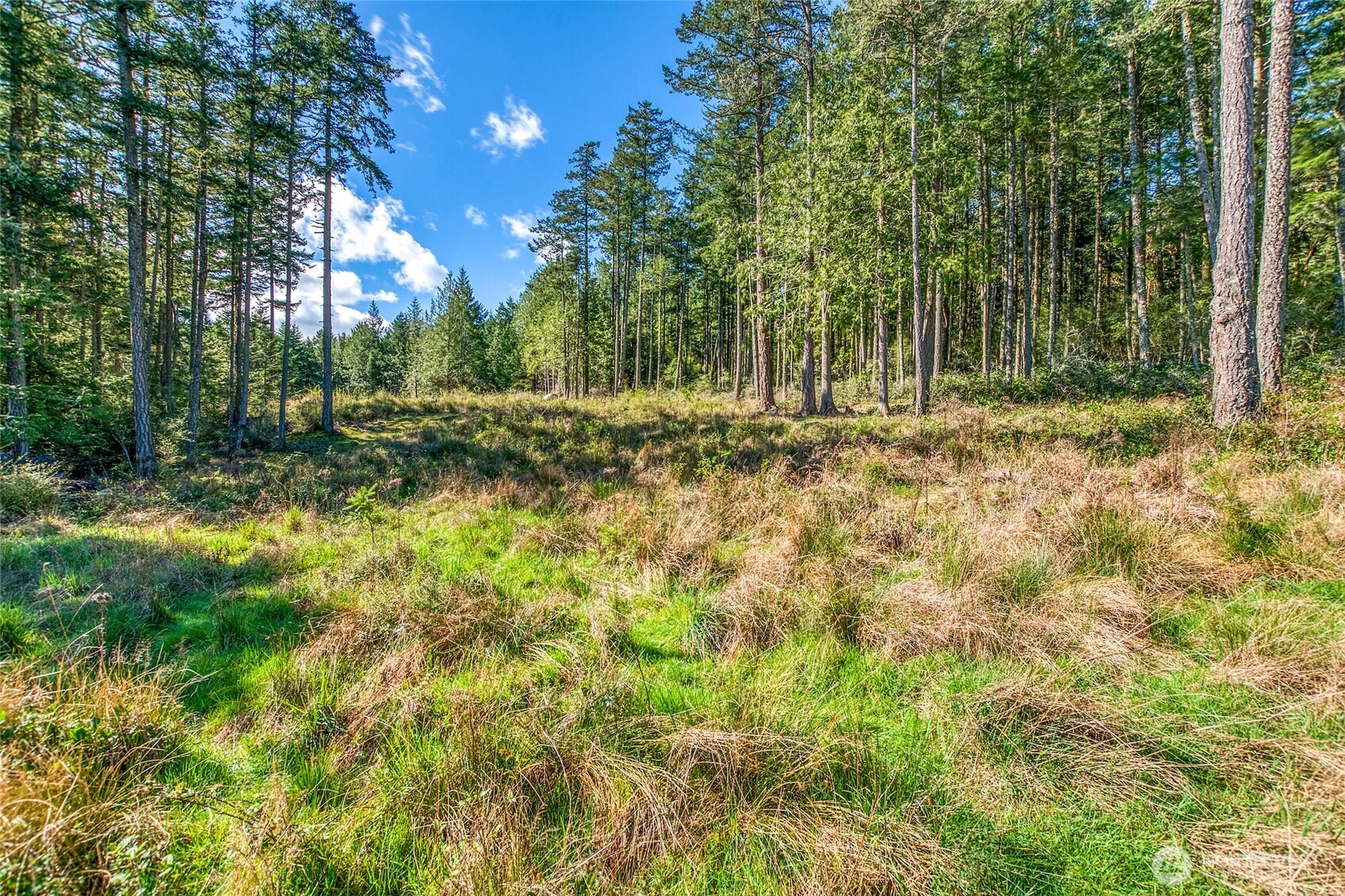 27 Bramblewood Lane , Friday Harbor, WA 98250