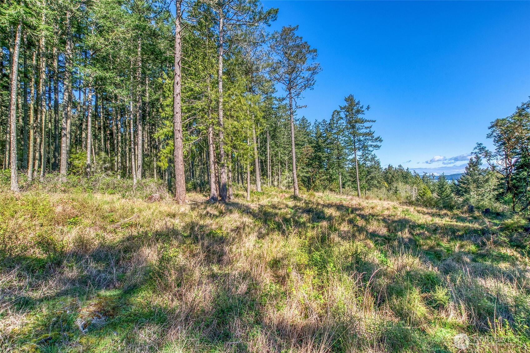 27 Bramblewood Lane , Friday Harbor, WA 98250