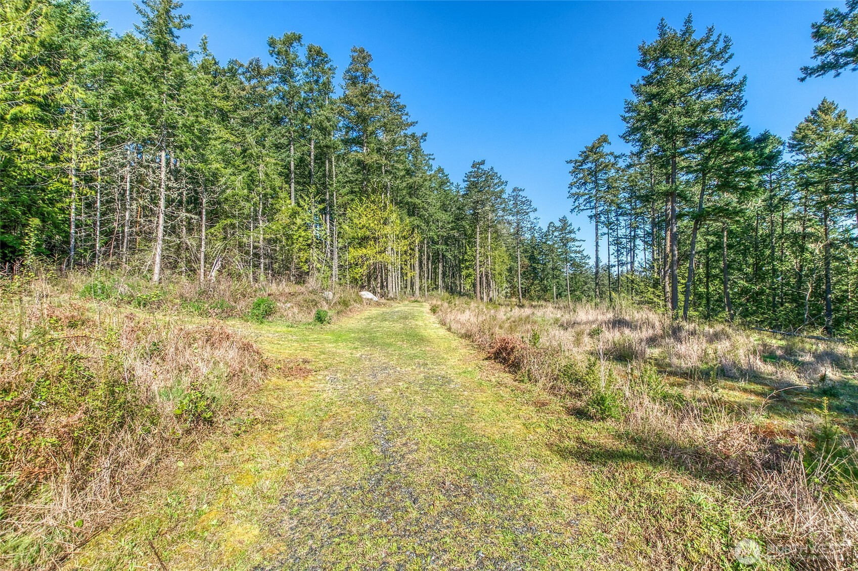 27 Bramblewood Lane , Friday Harbor, WA 98250