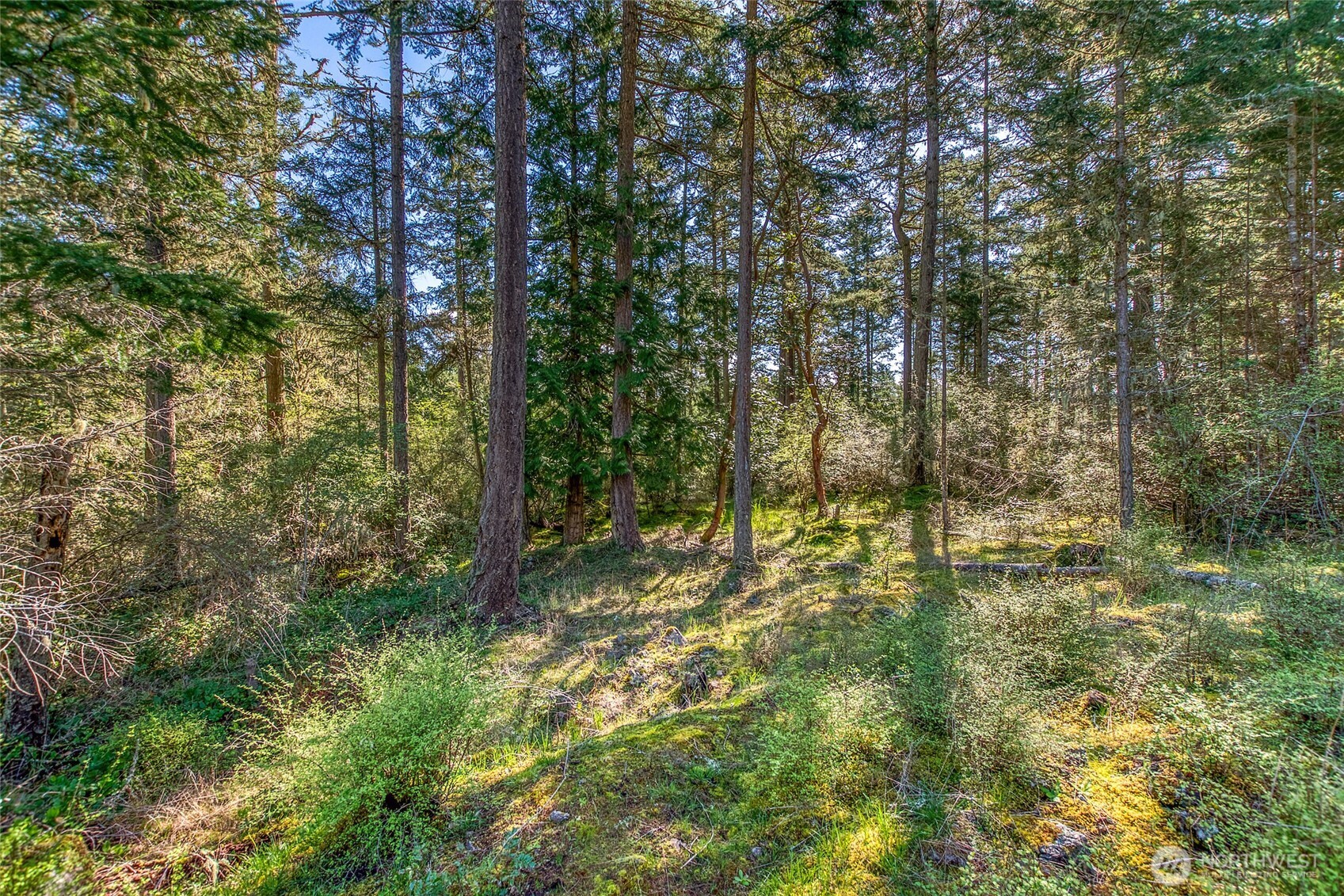27 Bramblewood Lane , Friday Harbor, WA 98250