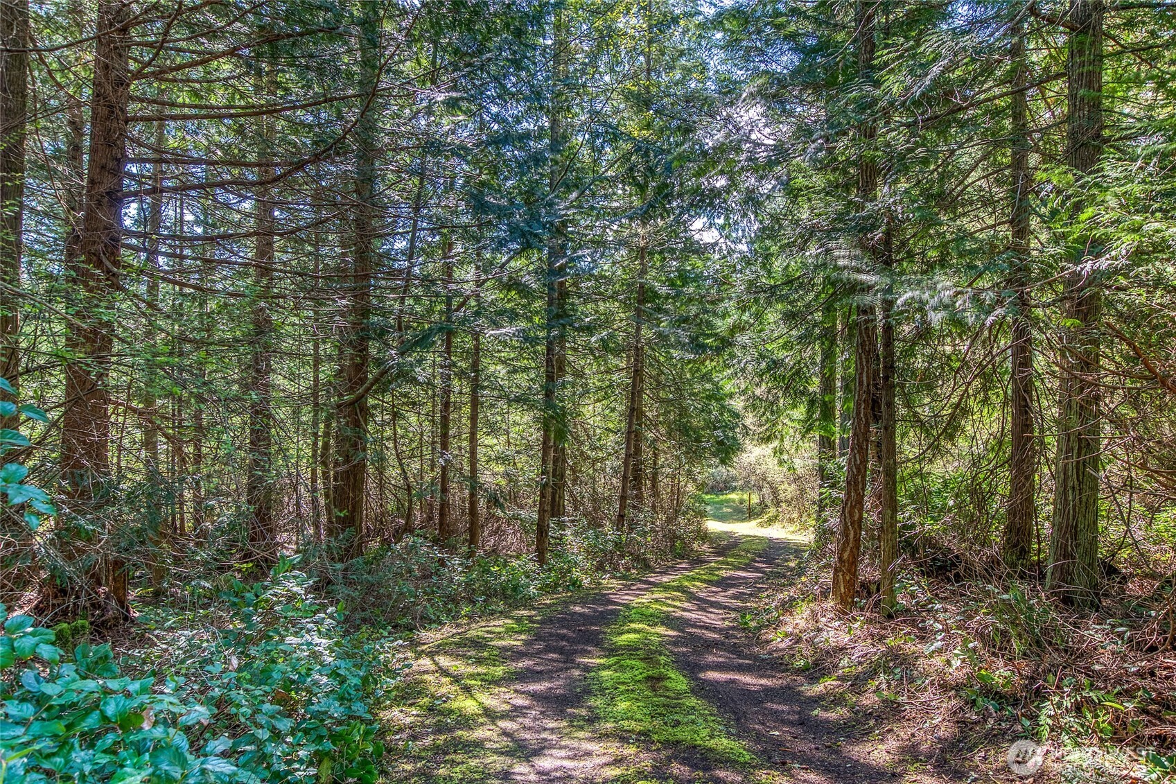 27 Bramblewood Lane , Friday Harbor, WA 98250
