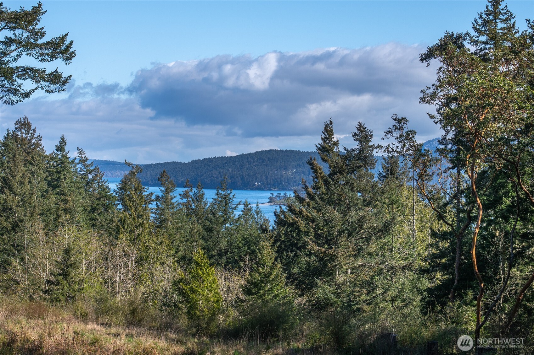 27 Bramblewood Lane , Friday Harbor, WA 98250