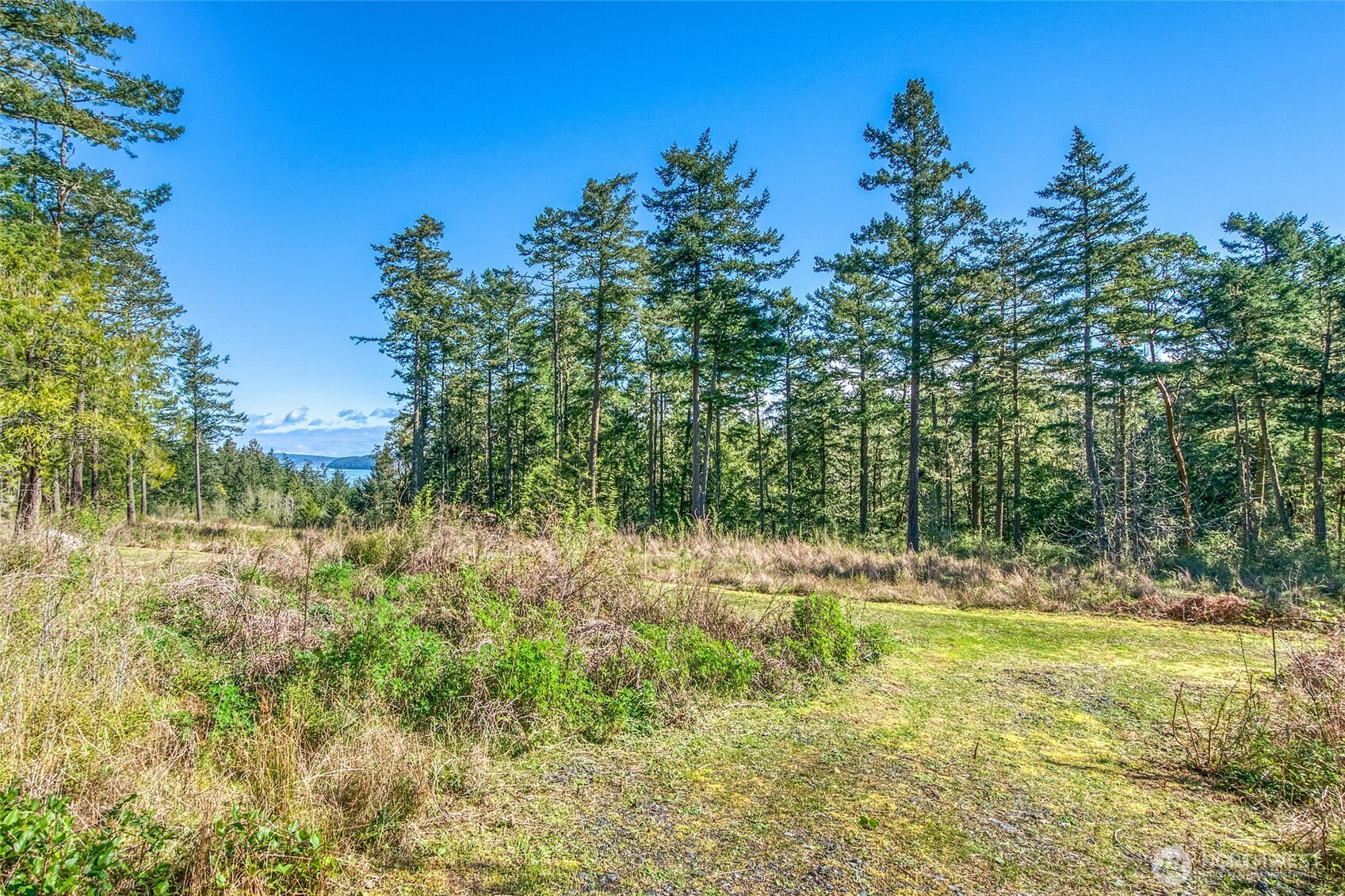 27 Bramblewood Lane , Friday Harbor, WA 98250