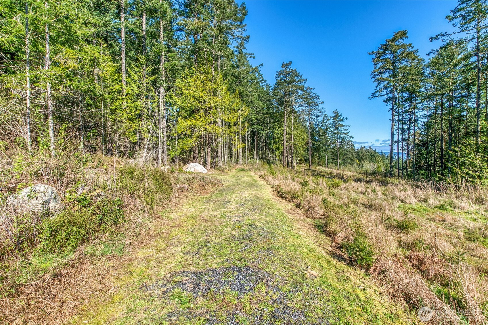27 Bramblewood Lane , Friday Harbor, WA 98250