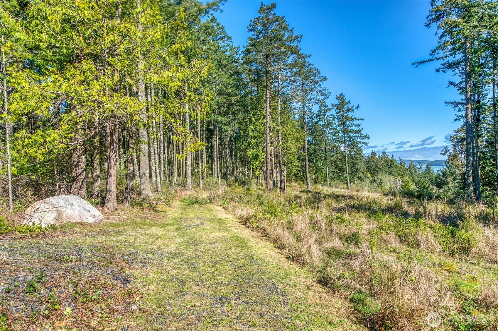 27 Bramblewood Lane , Friday Harbor, WA 98250