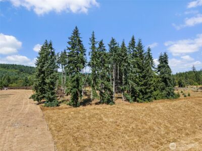 0 Frogner Road #2, Chehalis, WA 98532 - Photo 9