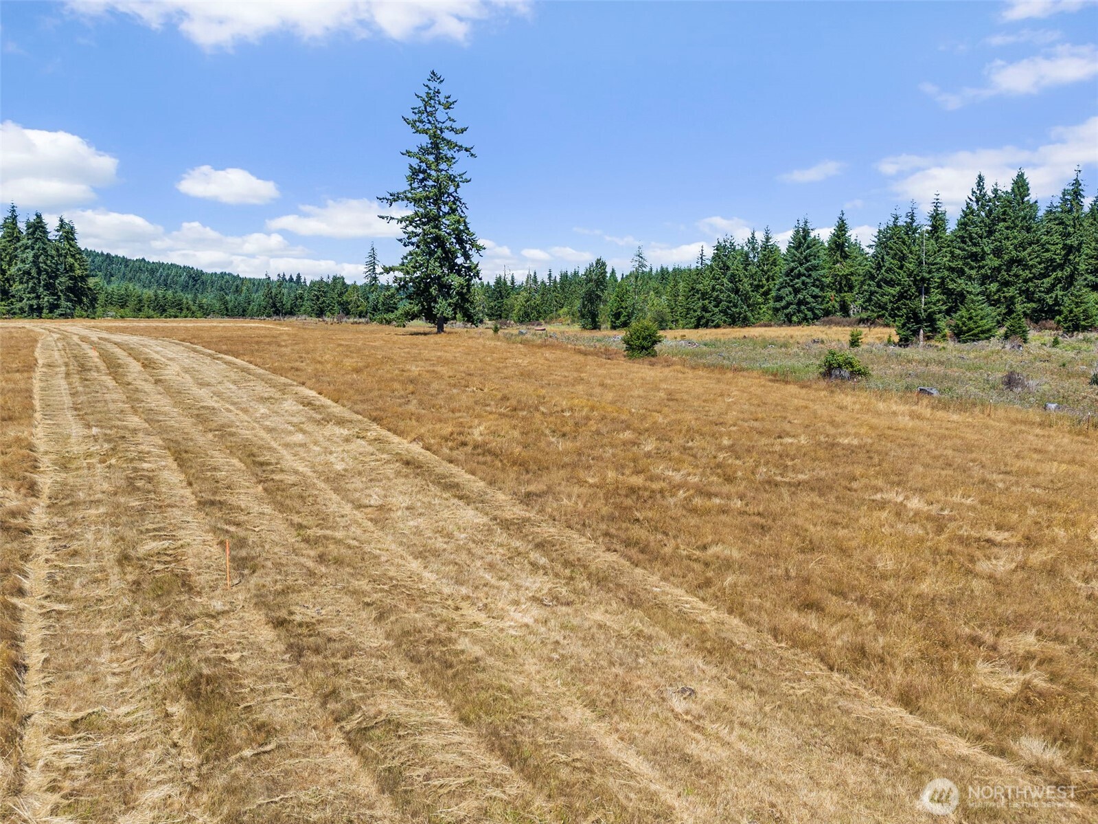 0 Frogner Road #3, Chehalis, WA 98532