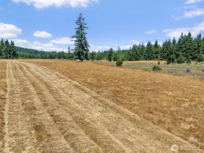 0 Frogner Road #3, Chehalis, WA 98532 - Photo 6