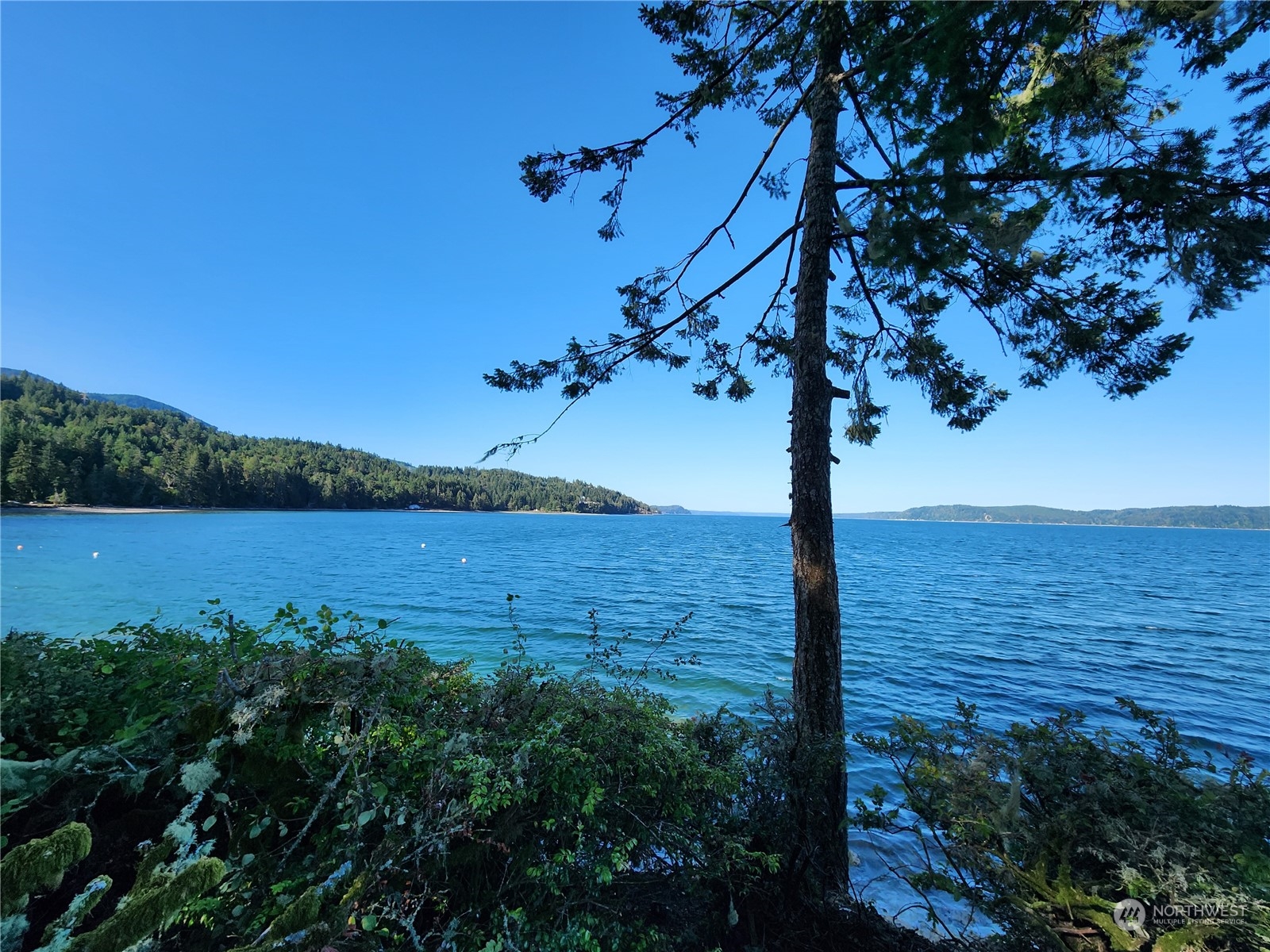 126 Handley Lane , Brinnon, WA 98320