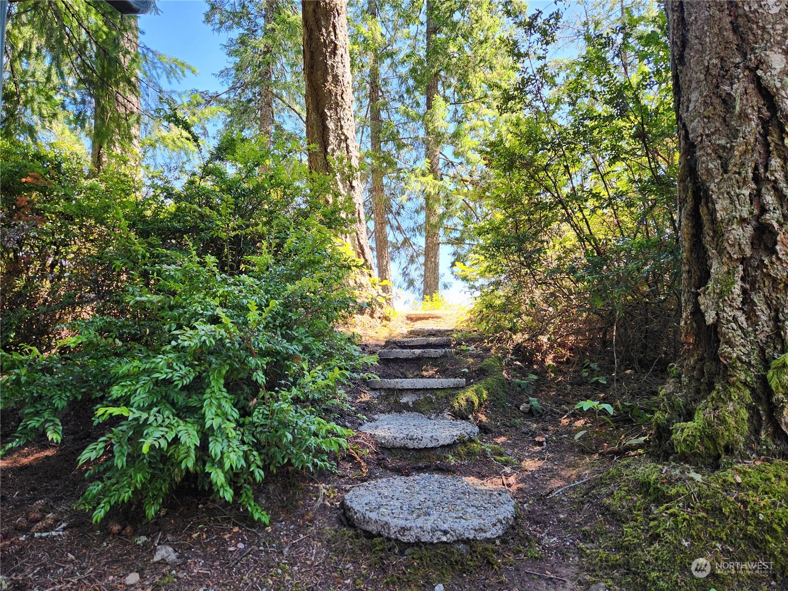 126 Handley Lane , Brinnon, WA 98320