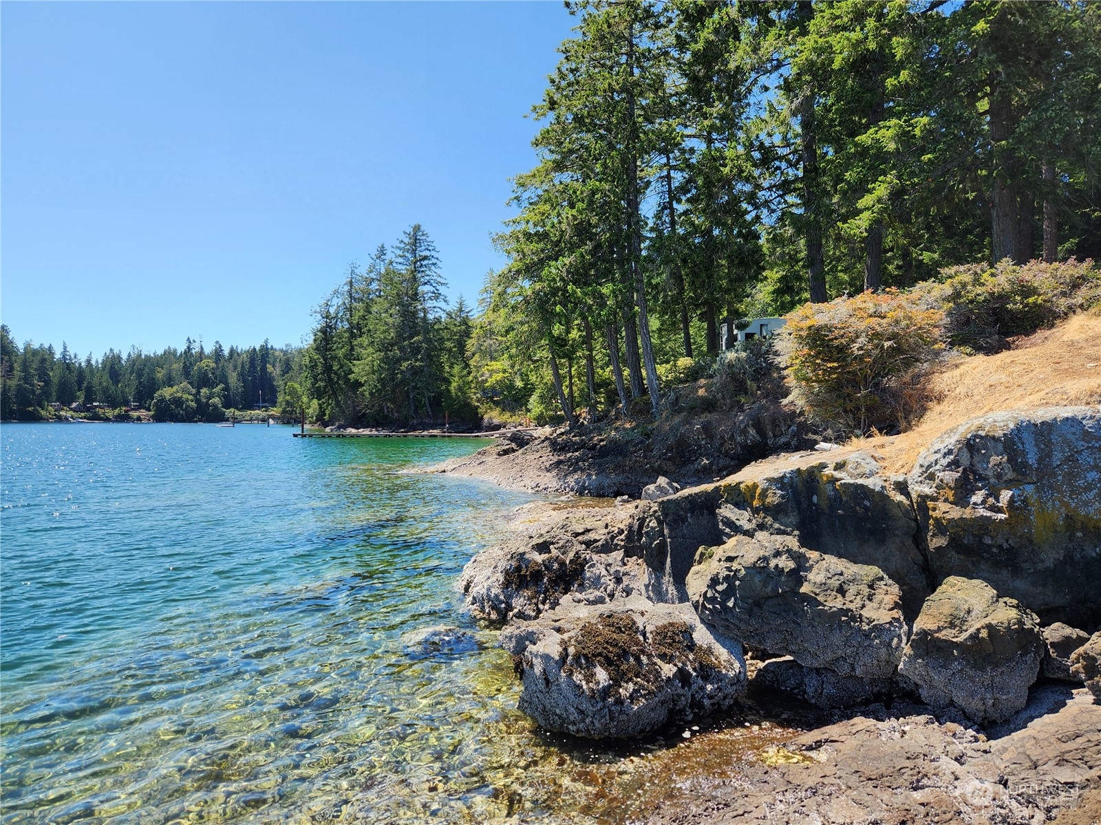 126 Handley Lane , Brinnon, WA 98320