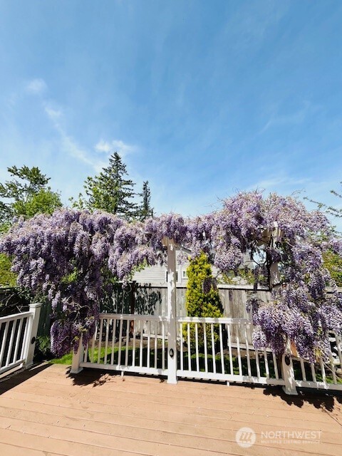 33908 SE Sorenson Street , Snoqualmie, WA 98065