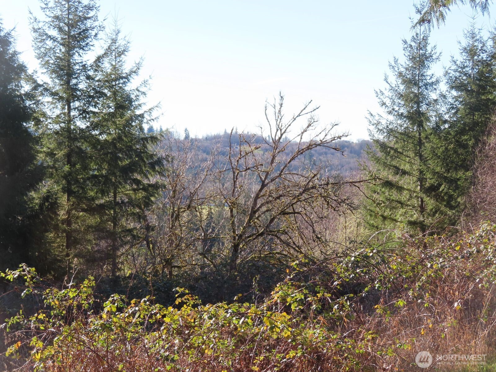 0 XXX Larson Road , Mossyrock, WA 98564