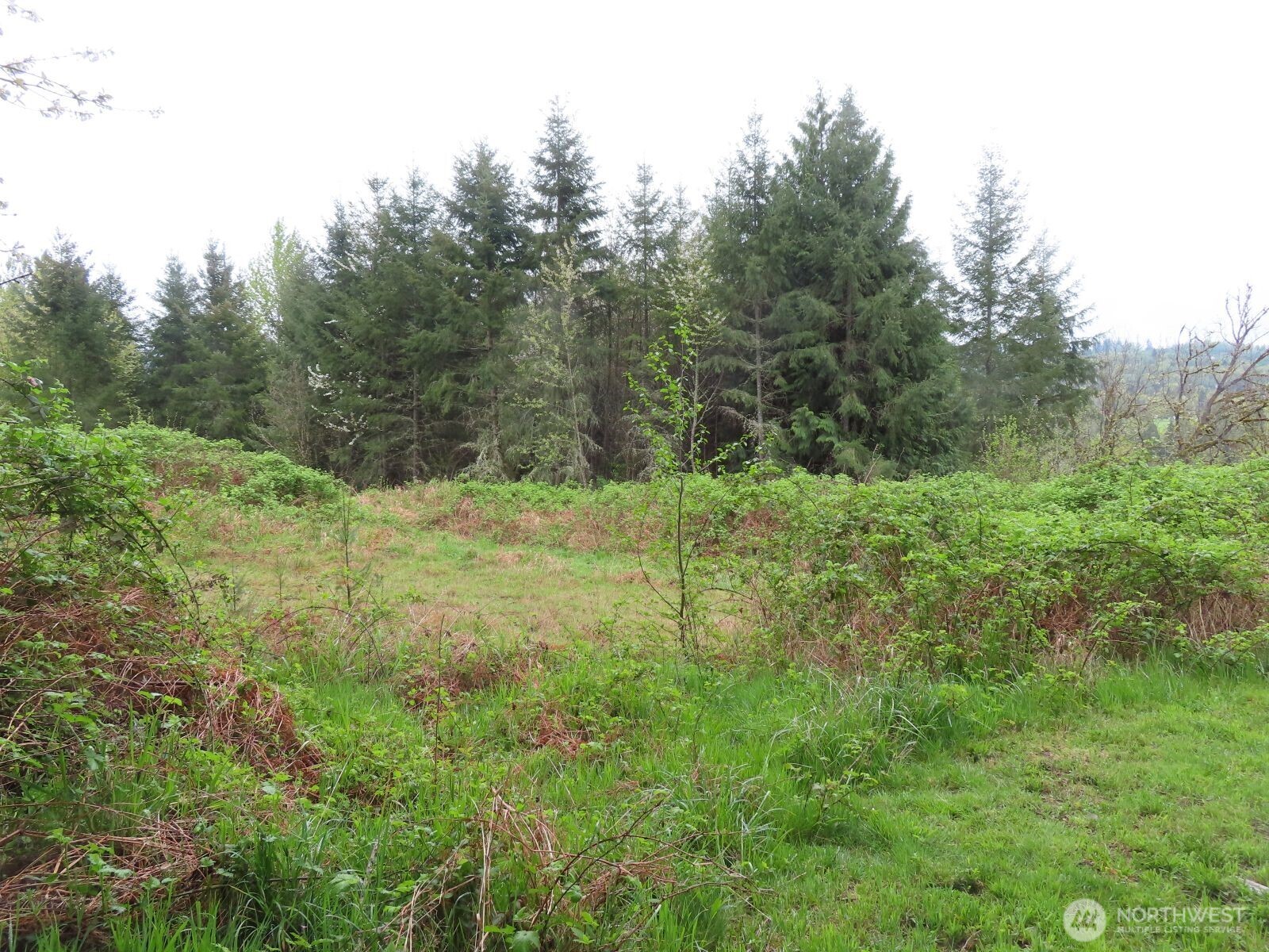 0 XXX Larson Road , Mossyrock, WA 98564