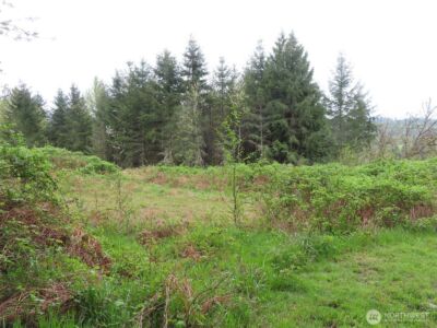 0 XXX Larson Road , Mossyrock, WA 98564 - Photo 11