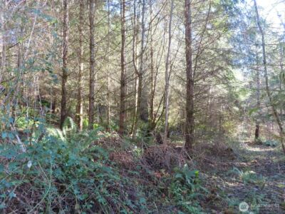 0 XXX Larson Road , Mossyrock, WA 98564 - Photo 14