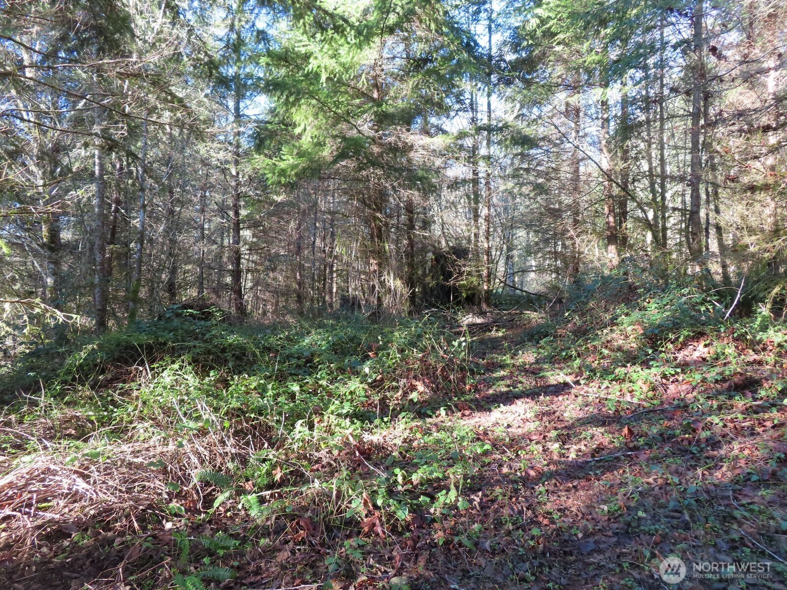 0 XXX Larson Road , Mossyrock, WA 98564