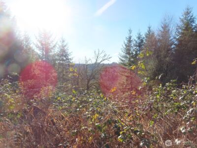 0 XXX Larson Road , Mossyrock, WA 98564 - Photo 16