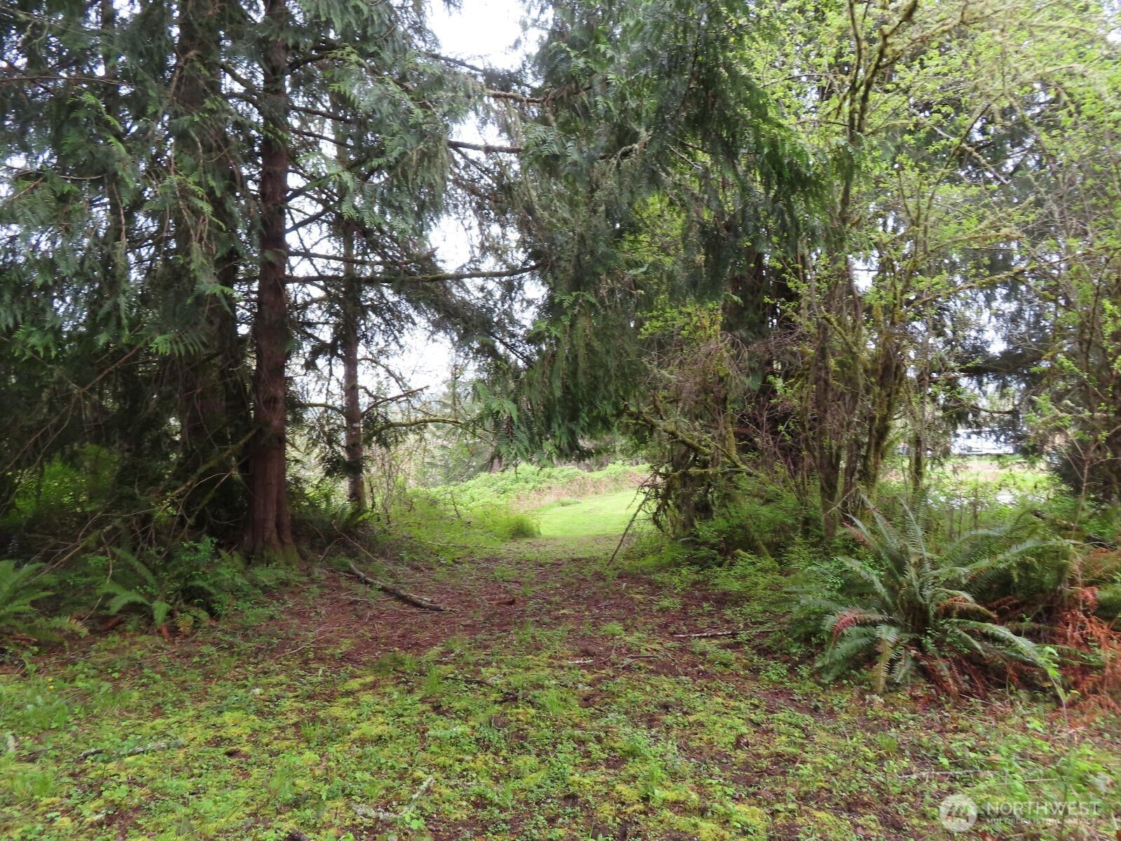 0 XXX Larson Road , Mossyrock, WA 98564
