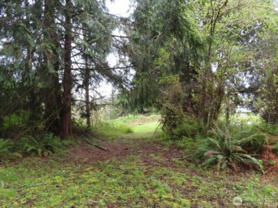 0 XXX Larson Road , Mossyrock, WA 98564 - Photo 17