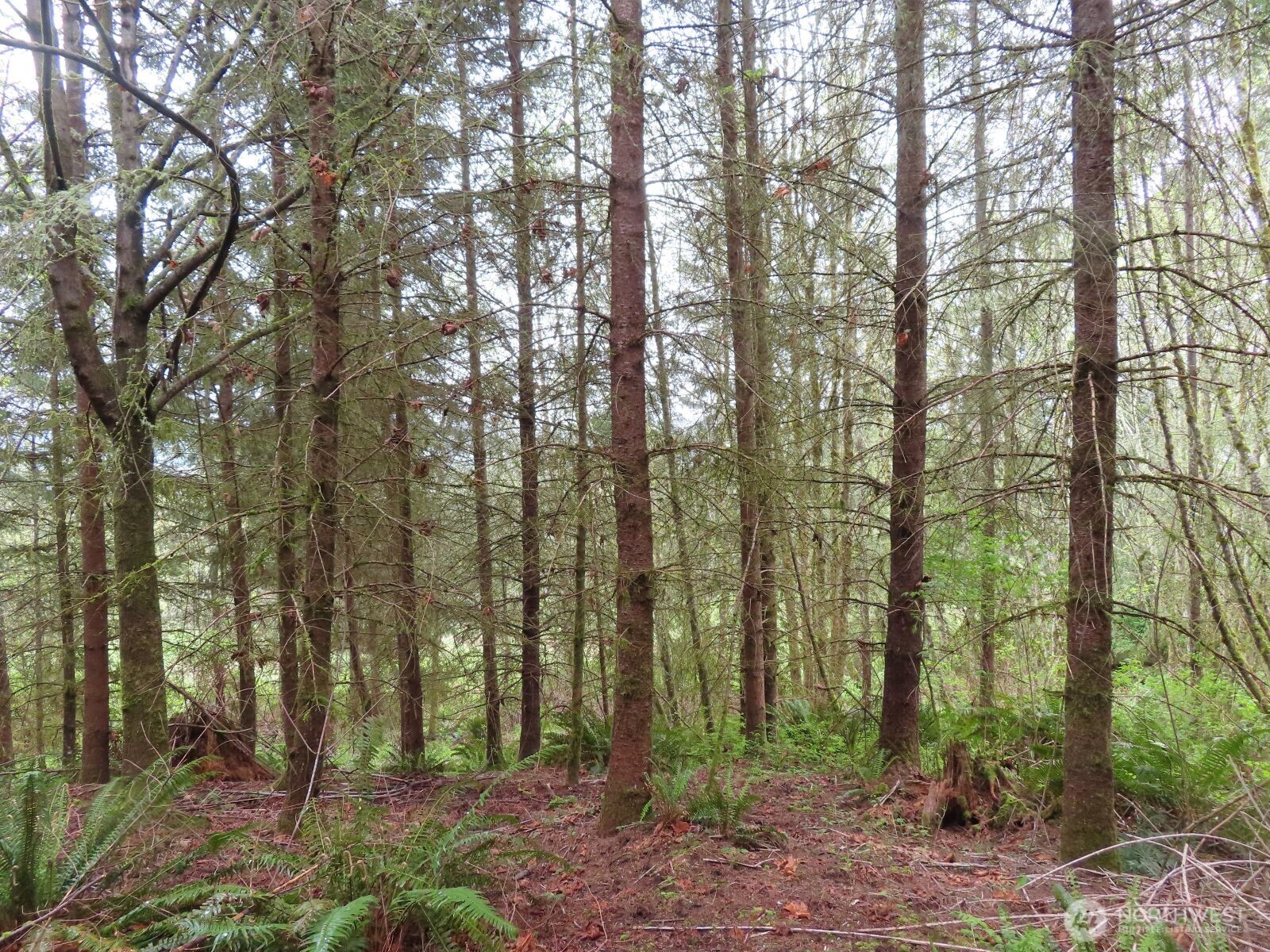0 XXX Larson Road , Mossyrock, WA 98564